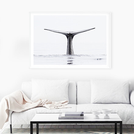 Whale II