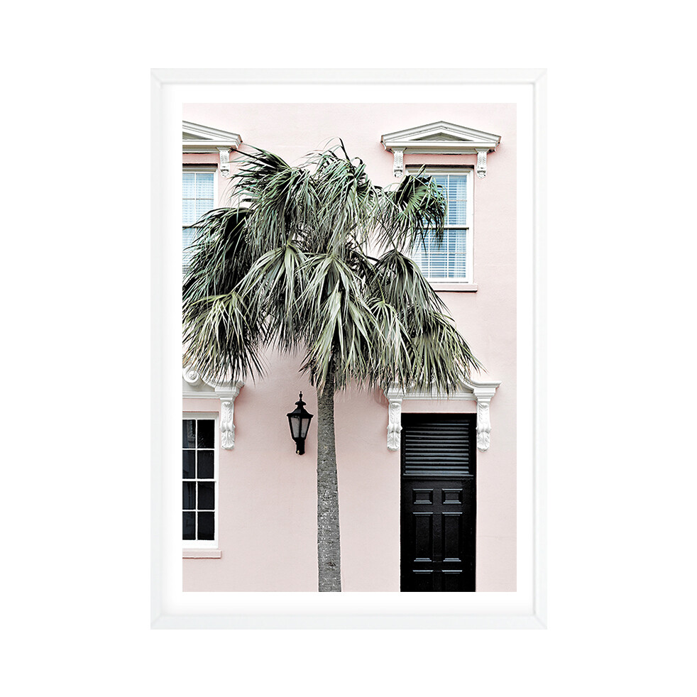 Palm Entrance