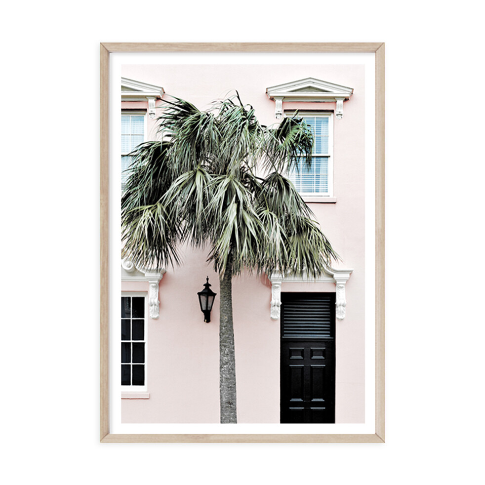 Palm Entrance