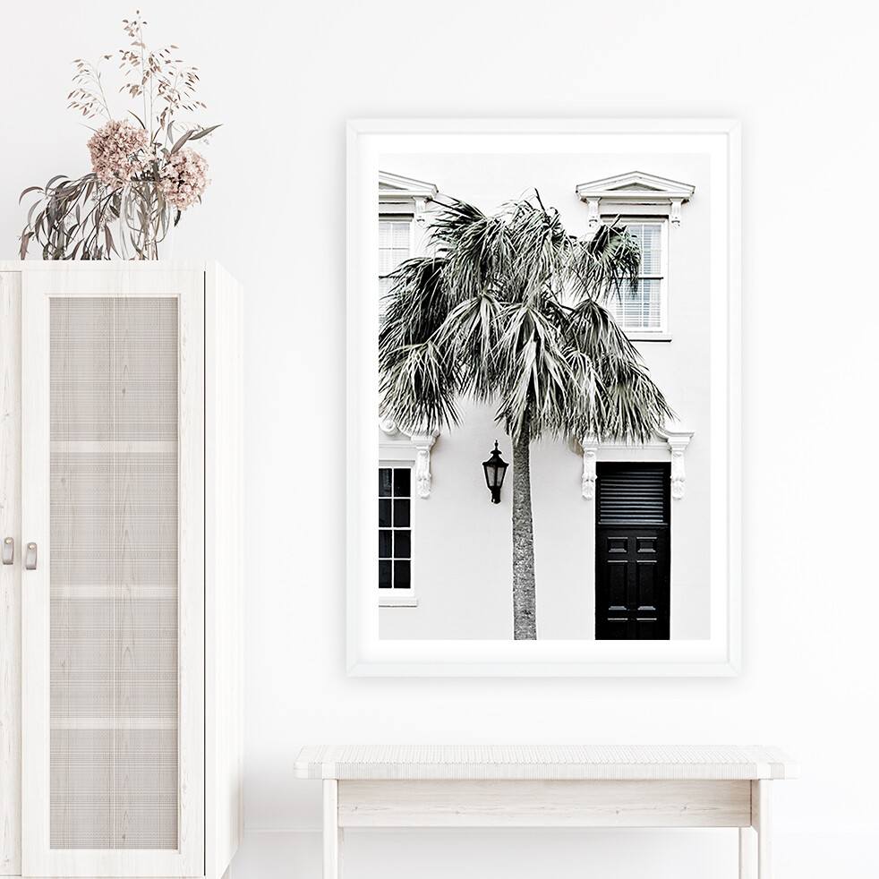 Palm Entrance II