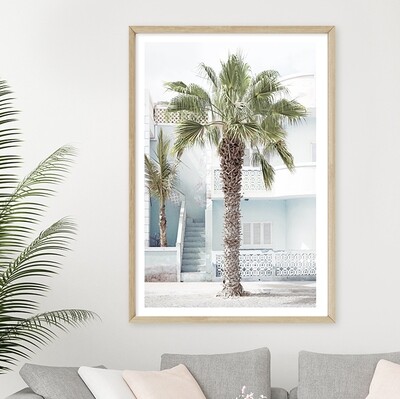 Cape Palm - Blue