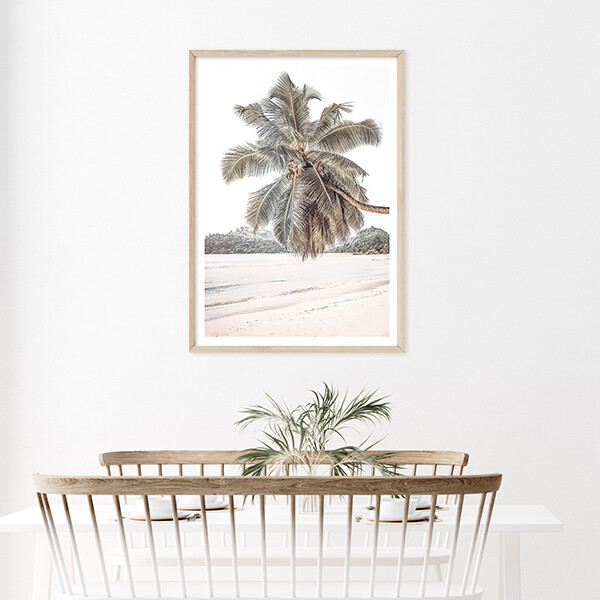 Palm Daydream