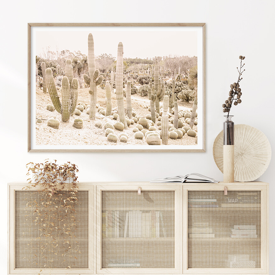 Cactus Garden