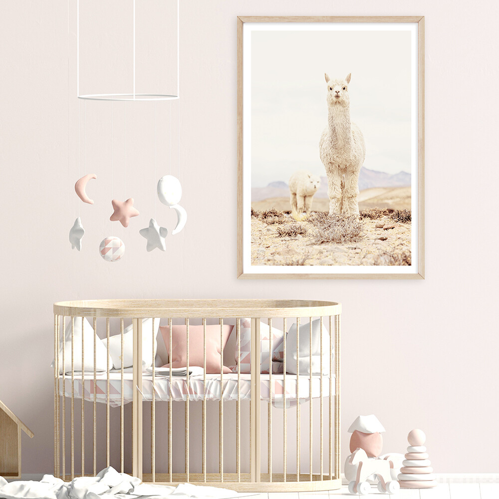 Alpaca Mumma