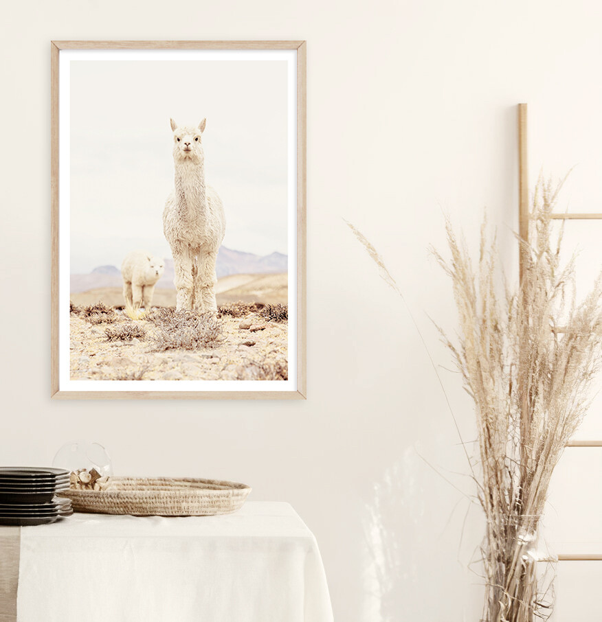 Alpaca Mumma