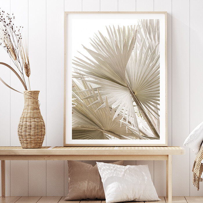Dried Palms II