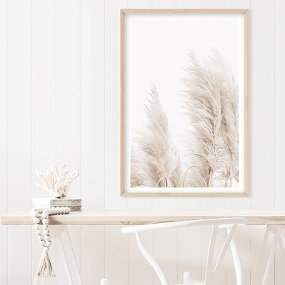 Coastal Pampas Grass (Portrait)