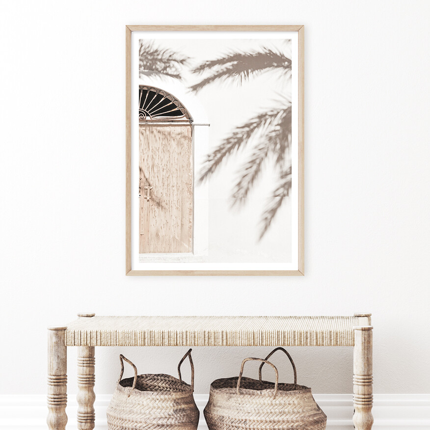 Palm Shadows