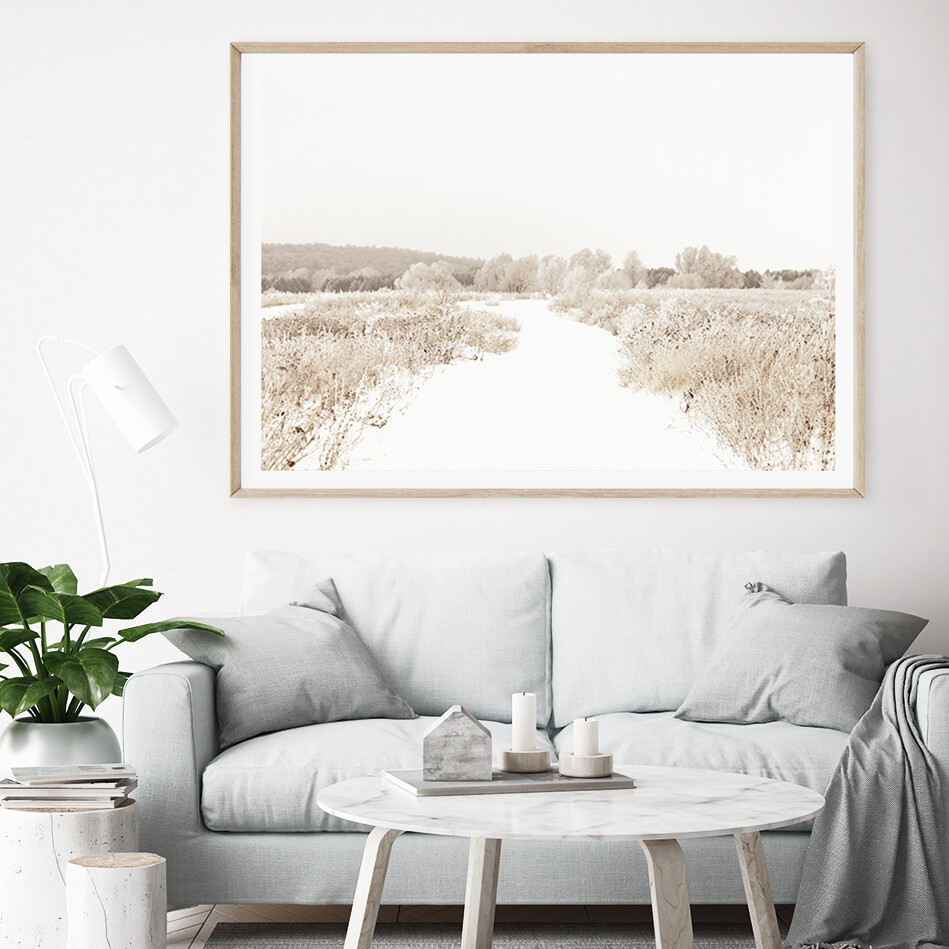Winter Fields