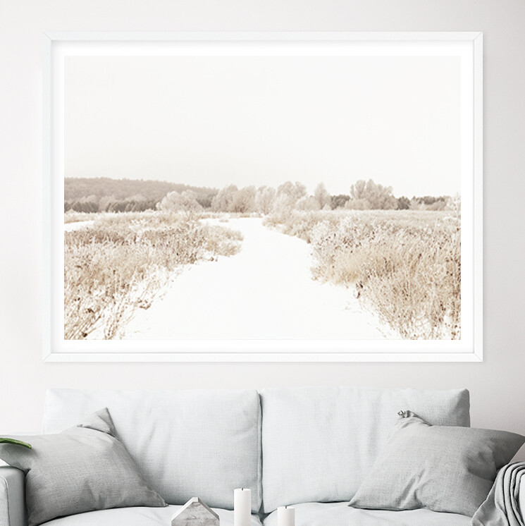 Winter Fields