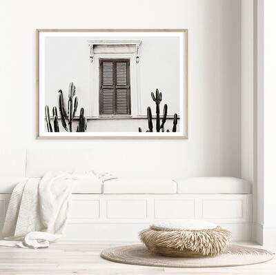 Cacti Villa II