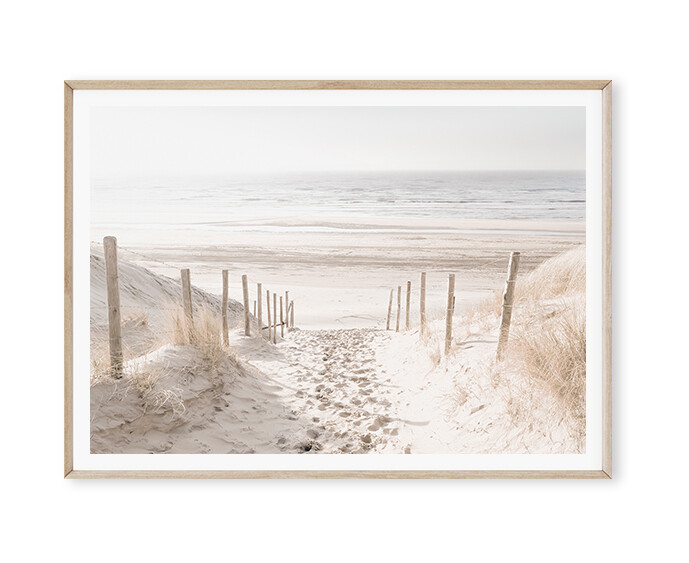 Dune Path