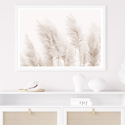 Coastal Pampas Grass (Landscape)
