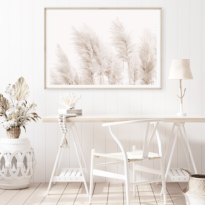 Coastal Pampas Grass (Landscape)