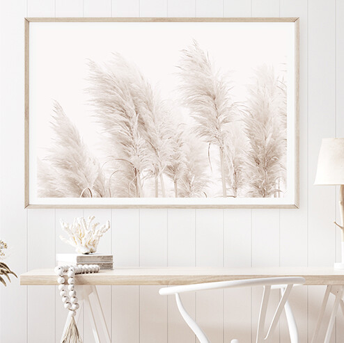 Coastal Pampas Grass (Landscape)