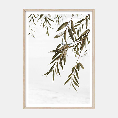 Coastal Gums (portrait)