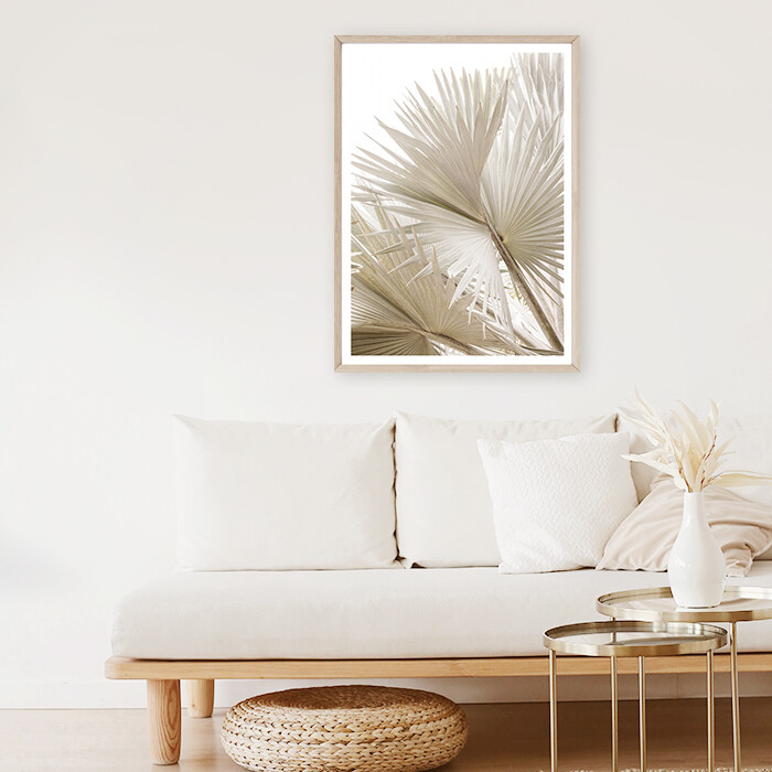 Dried Palms II