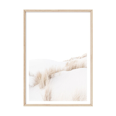 Pure Dunes II
