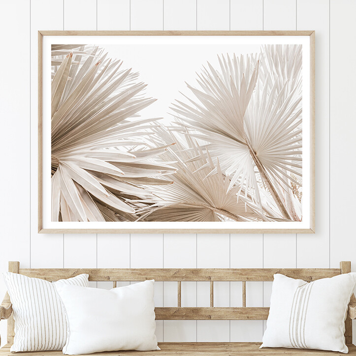 Dried Palms