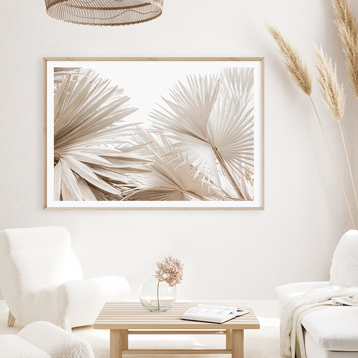 Dried Palms