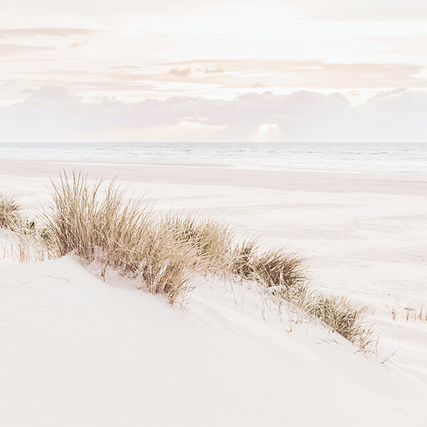 Coastal Haven