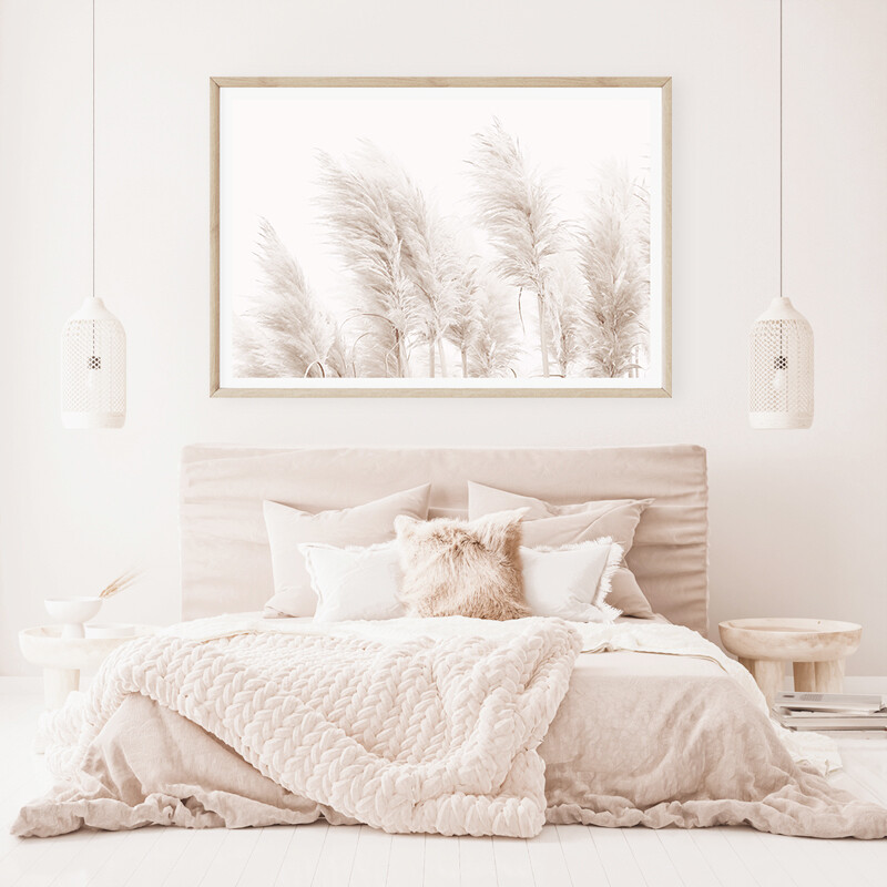 Coastal Pampas Grass (Landscape)
