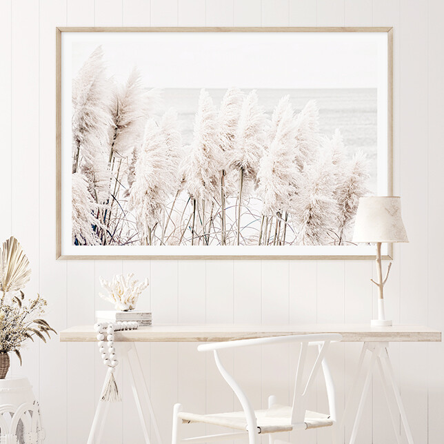 Seaside Pampas