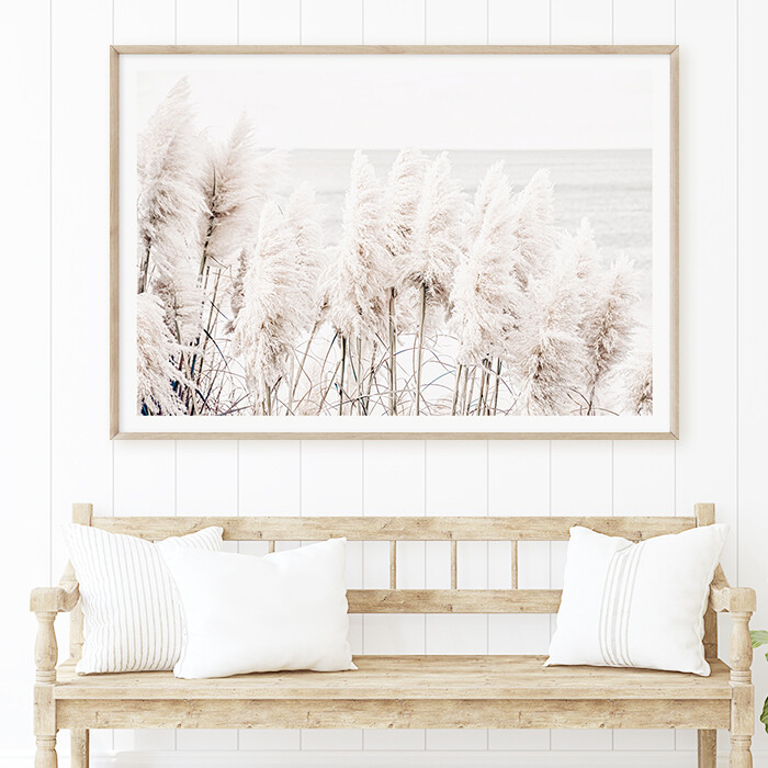 Seaside Pampas
