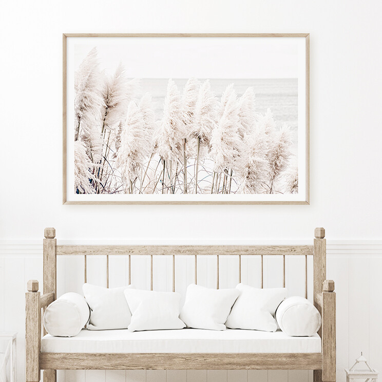 Seaside Pampas