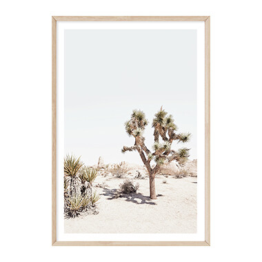 California Desert (portrait)