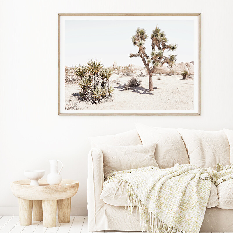 California Desert (landscape)