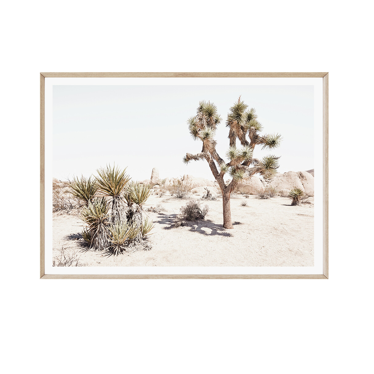 California Desert (landscape)