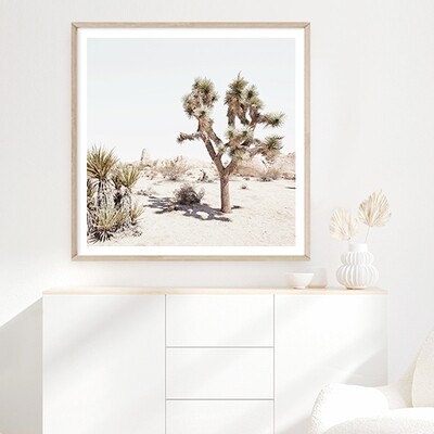 California Desert (square)