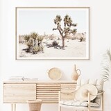 California Desert (landscape)