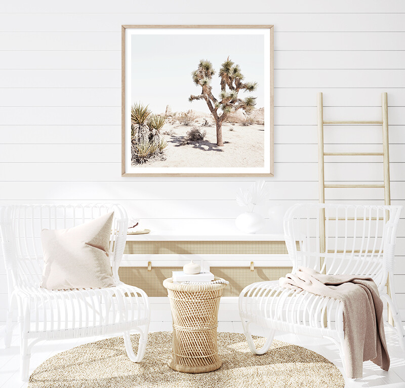 California Desert (square)