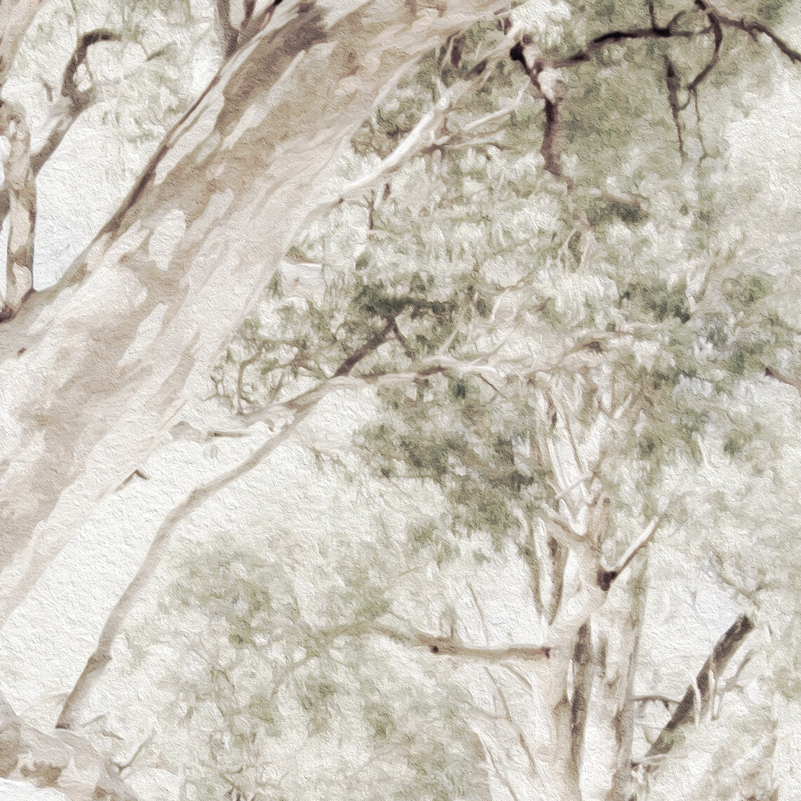 Australian Gums Mural