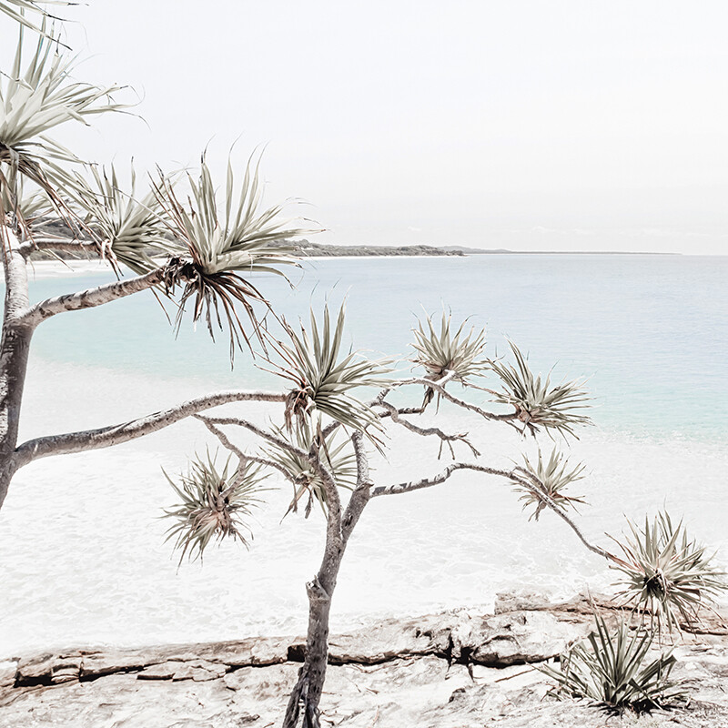 Stradbroke Island View