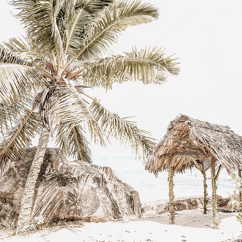 Island Dreams