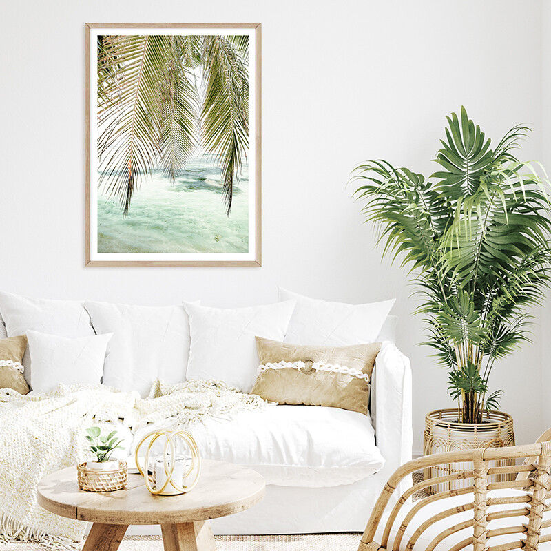 Island Palms