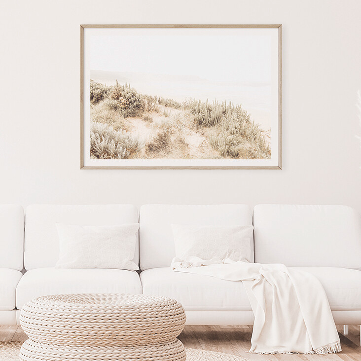 Coastal Flora
