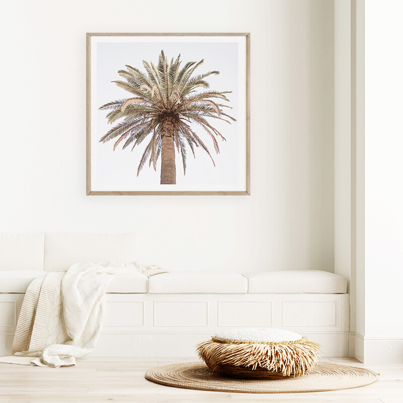 Paradiso Palm (portrait or square)