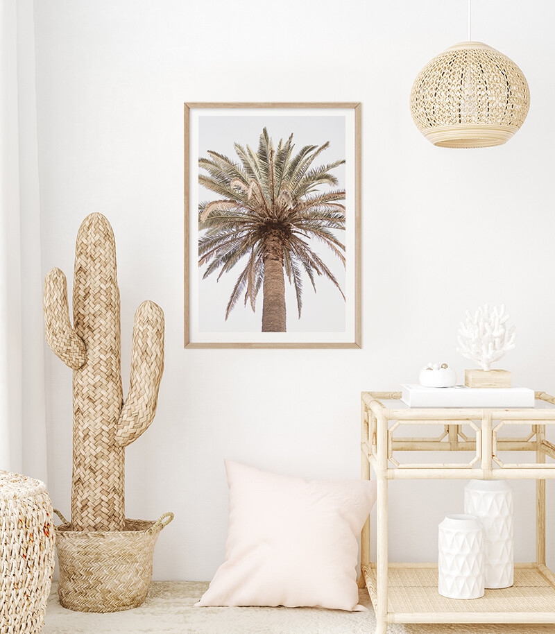 Paradiso Palm (portrait or square)