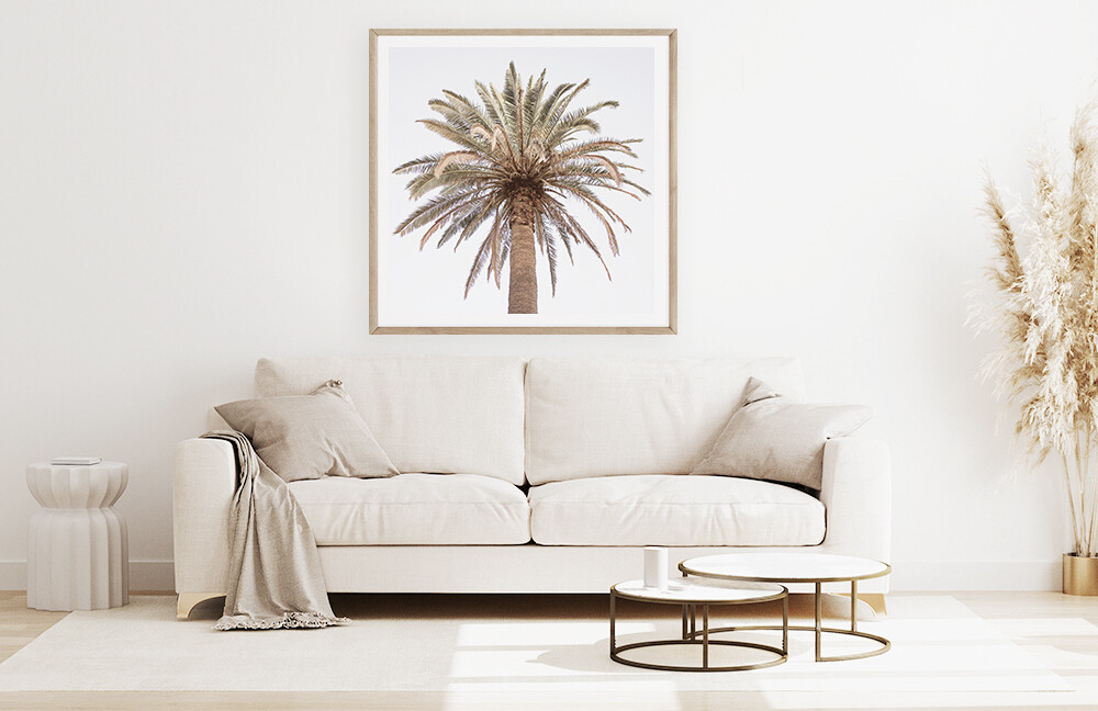 Paradiso Palm (portrait or square)