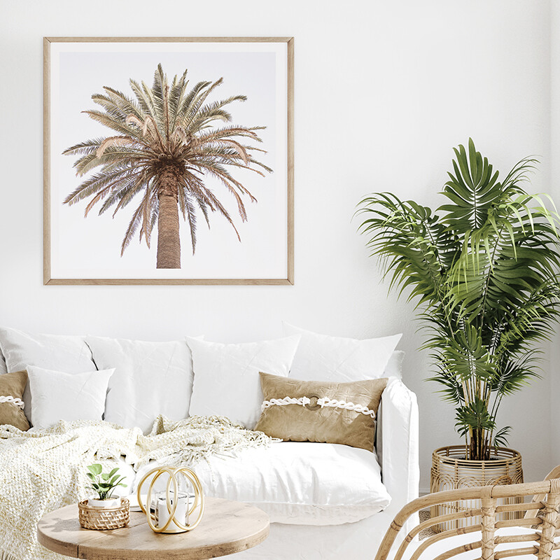 Paradiso Palm (portrait or square)