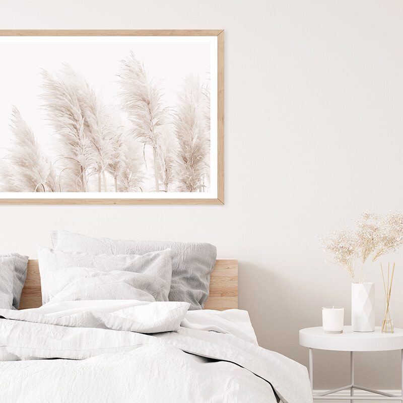 Coastal Pampas Grass (Landscape)