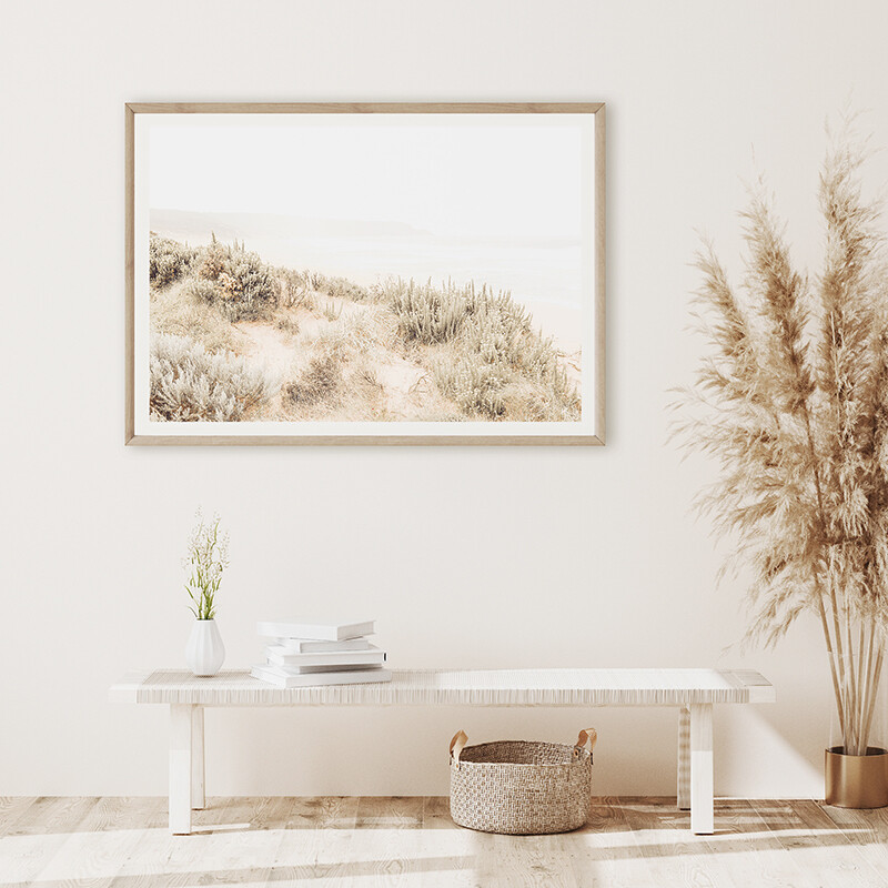 Coastal Flora