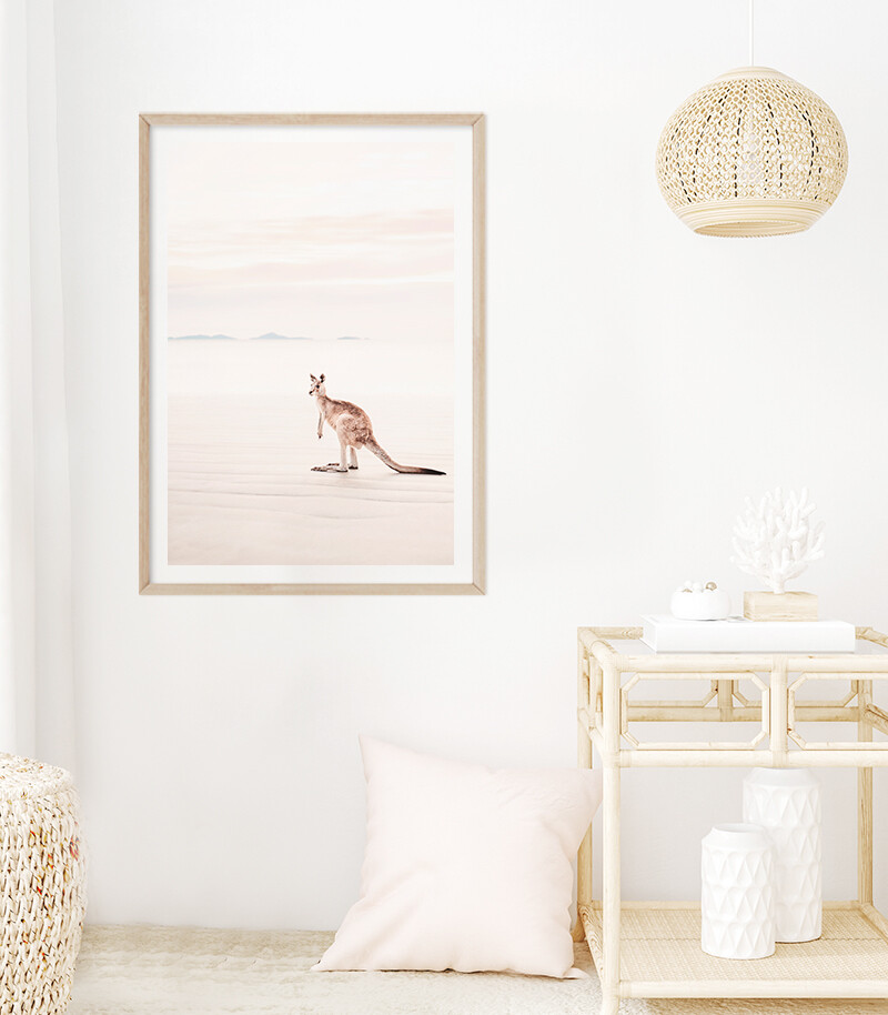 Coastal Roo