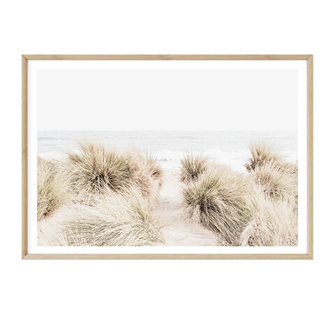 Sandy Dunes