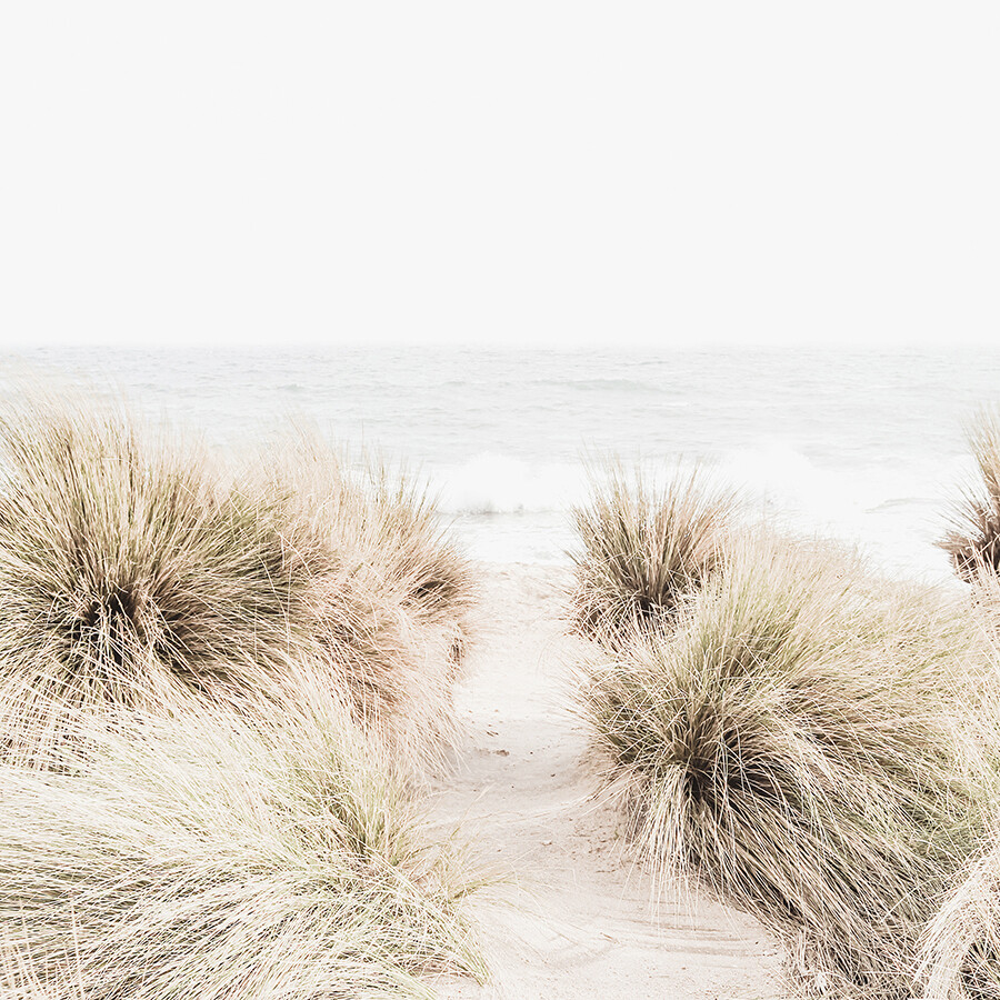 Sandy Dunes