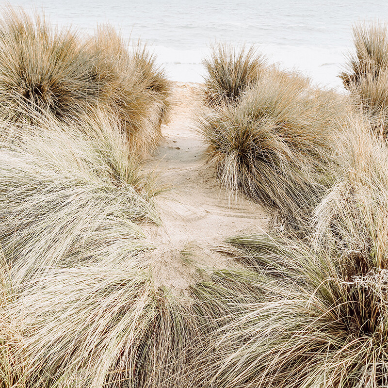 Winter Peninsula II